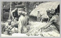 Preparing to fire terracottas in straw