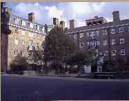 22. London - Sidney Street Estate, St Pancras arch: Ian Hamilton